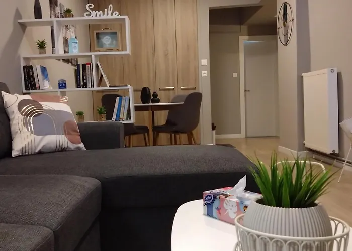 Axd Downtown Spacious Lux Apartment